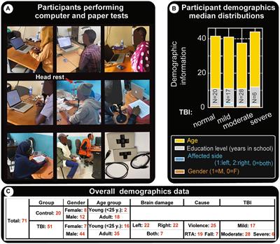 Extended tests for evaluating post-traumatic brain injury deficits in resource-limited settings: methods and pilot study data